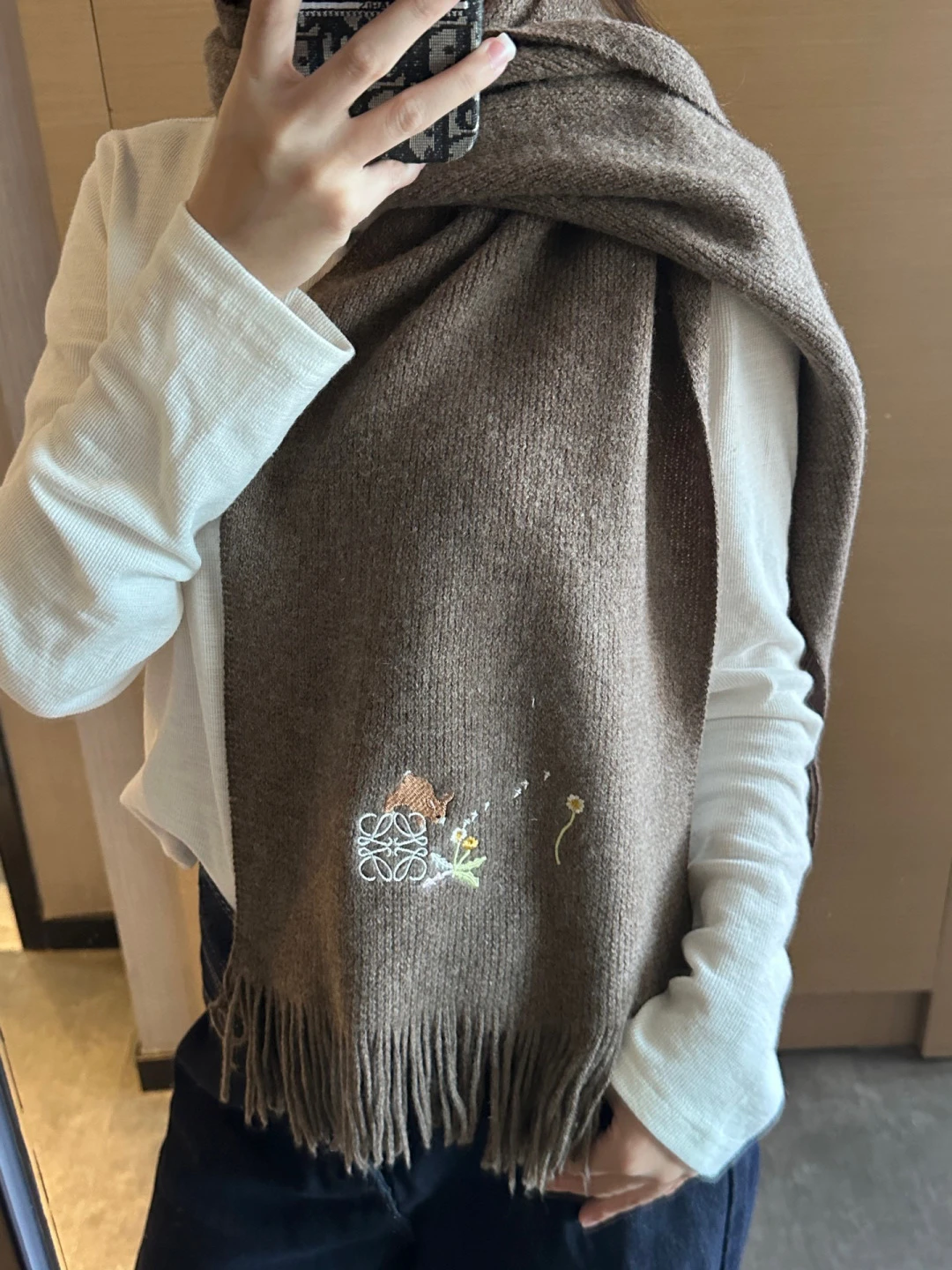 Loewe Scarves — 43d4da3a