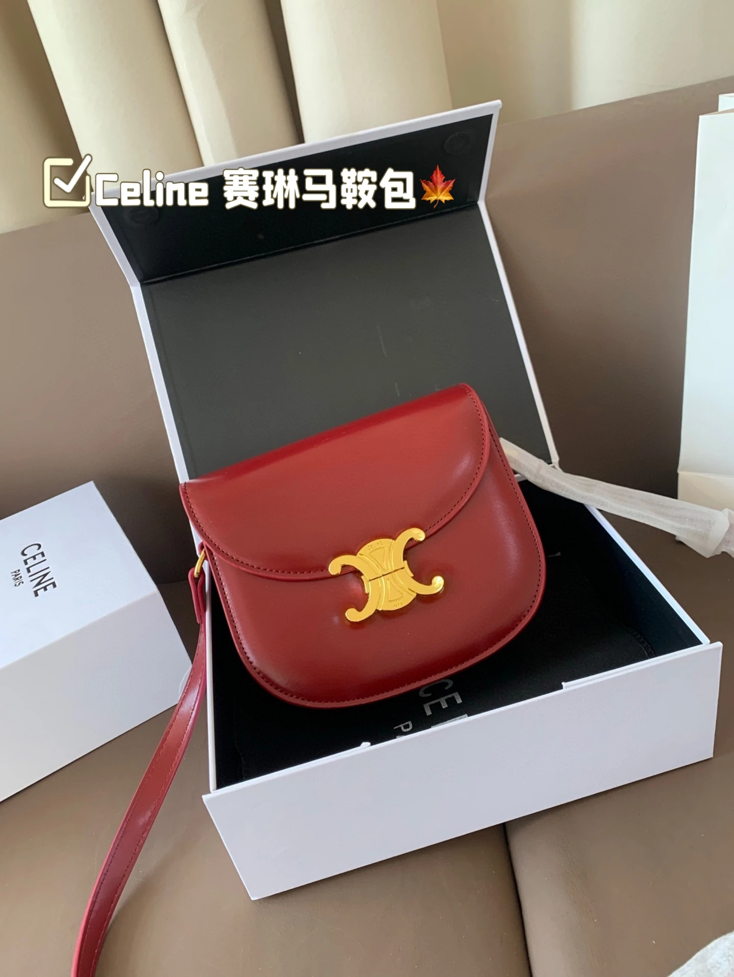 Celine Bag — 8959d5ab