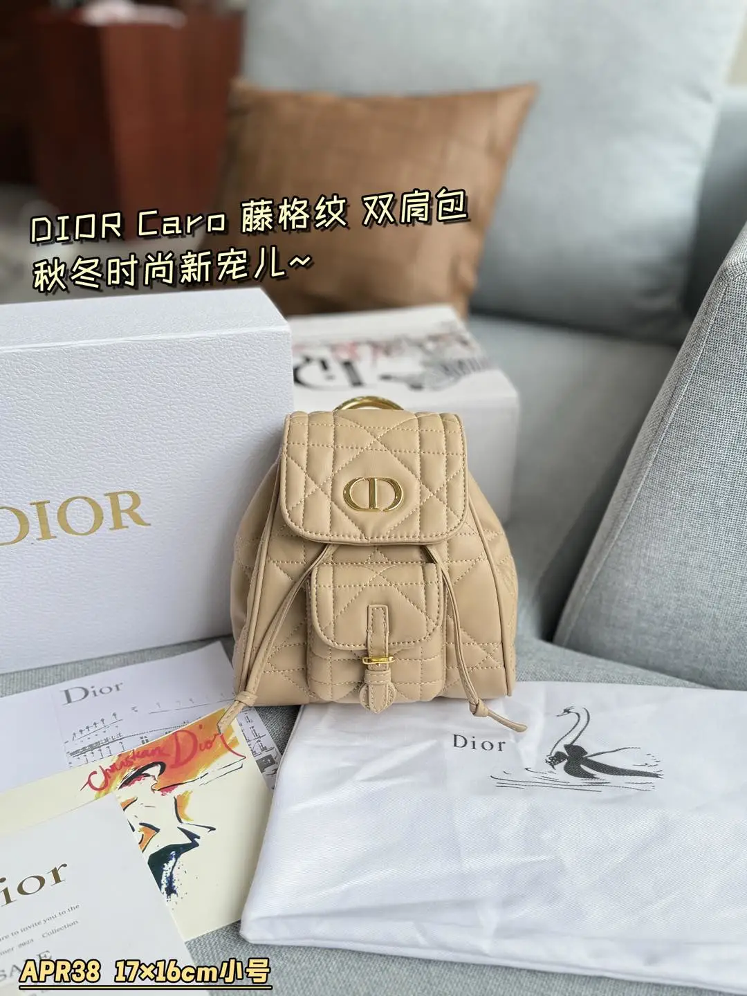 Dior Bag — 83f2d4c2
