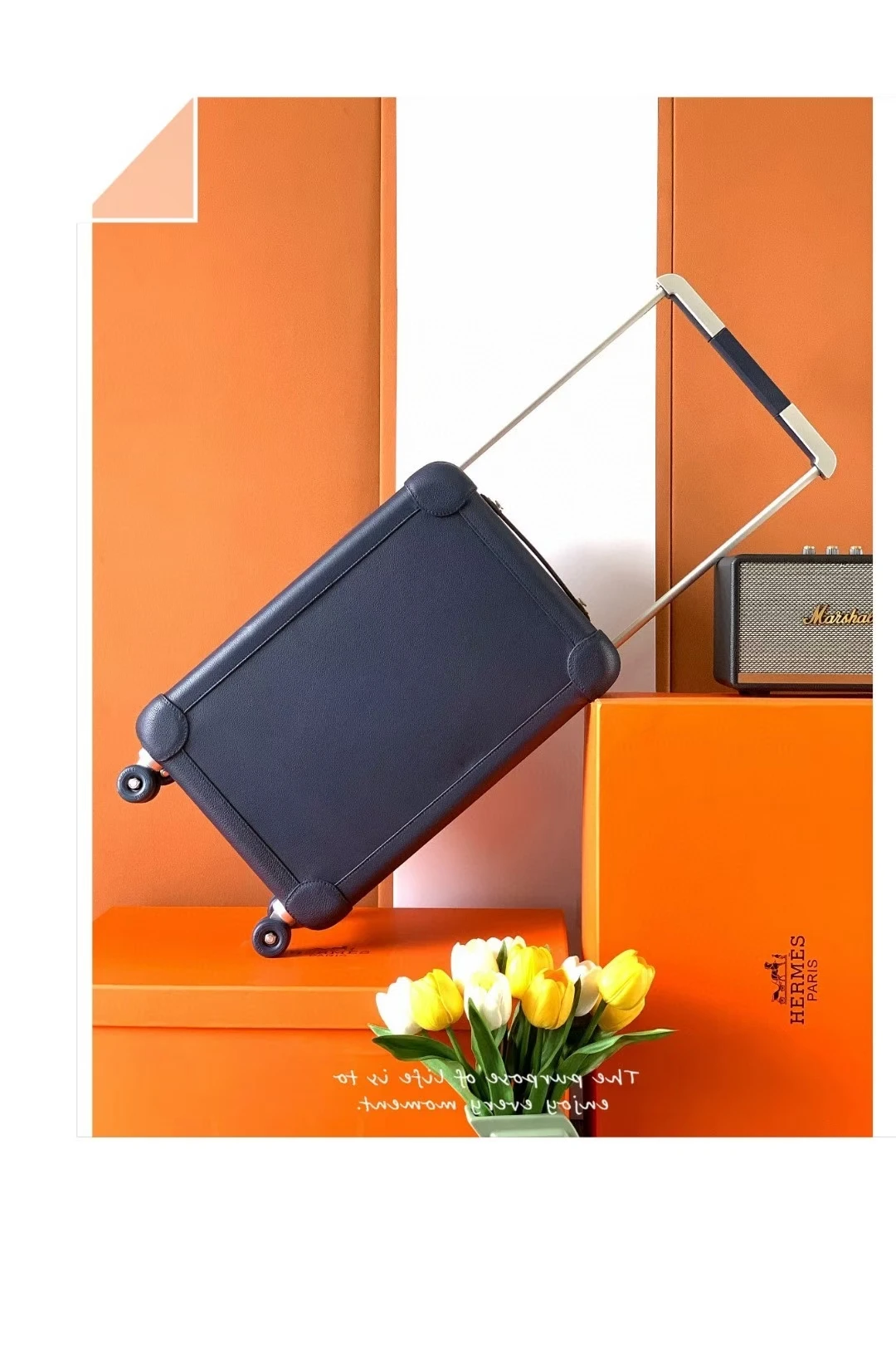 Luggage — 9e2fe6b8