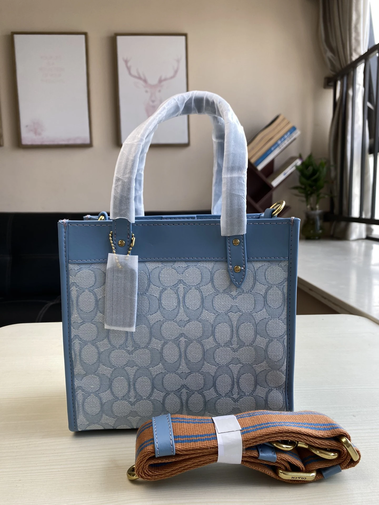 Coach Bag — c87f8aff