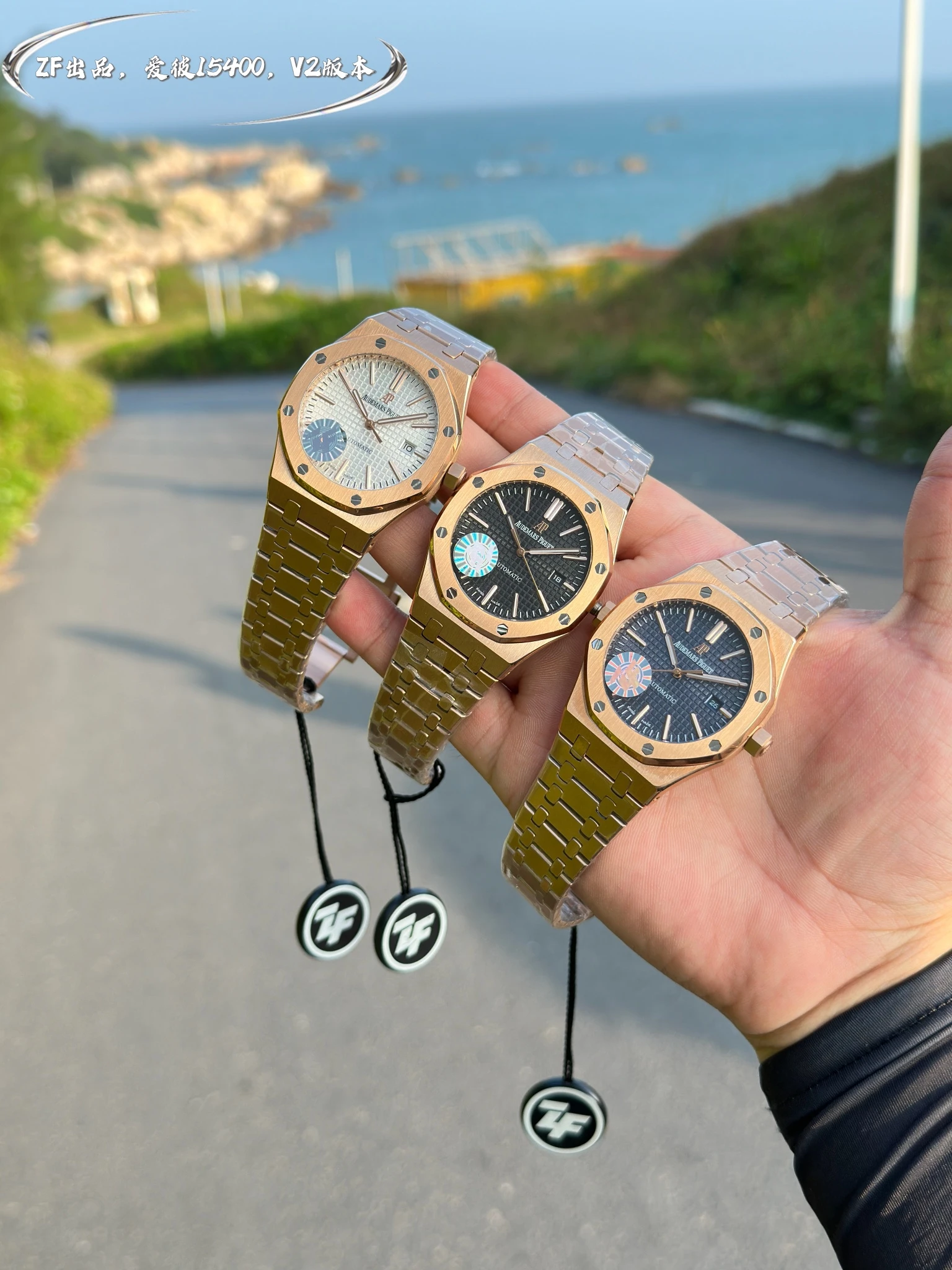 Audemars Piguet Watch — c25f444b