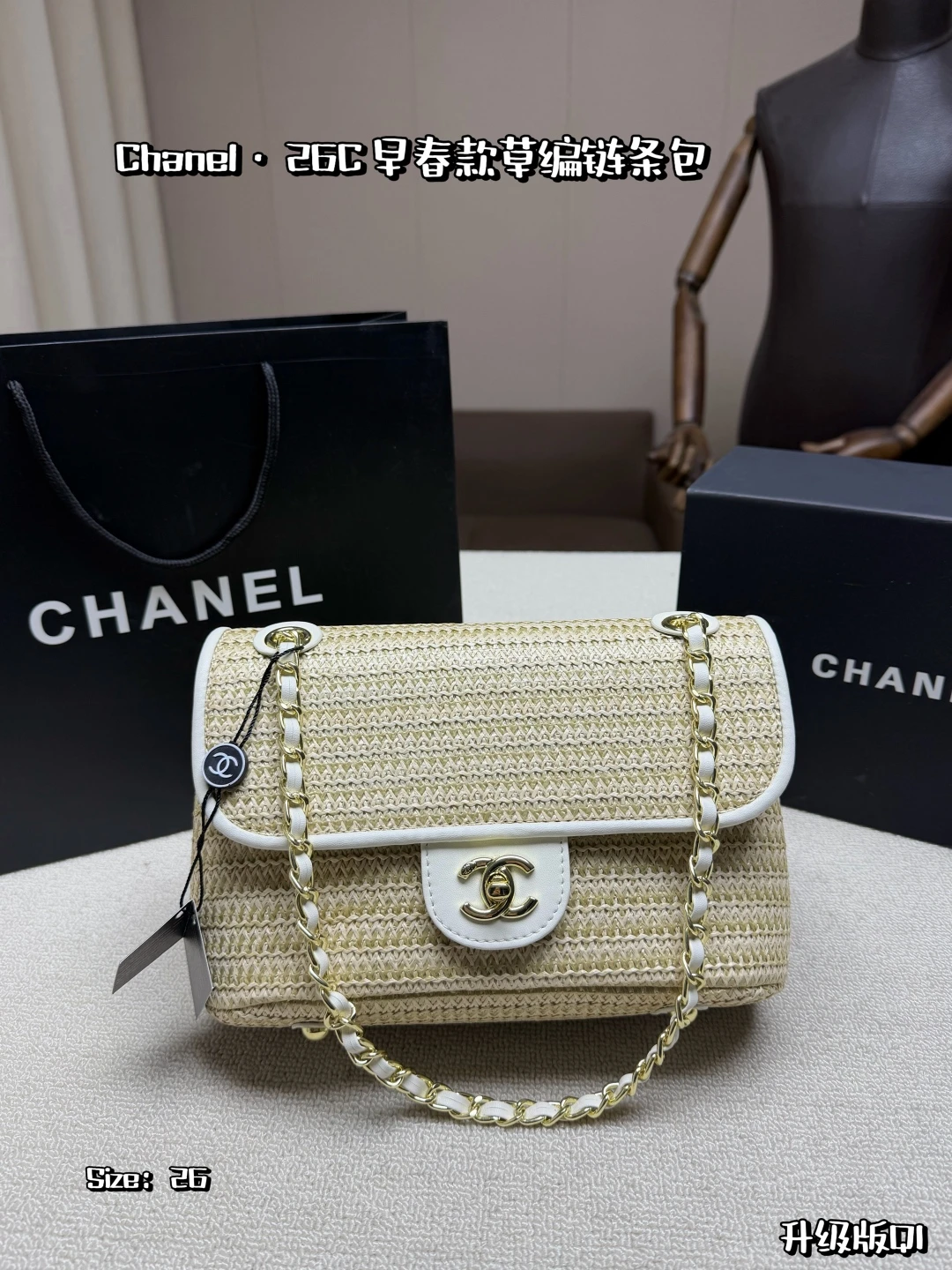Chanel Bag — 5aefb83c