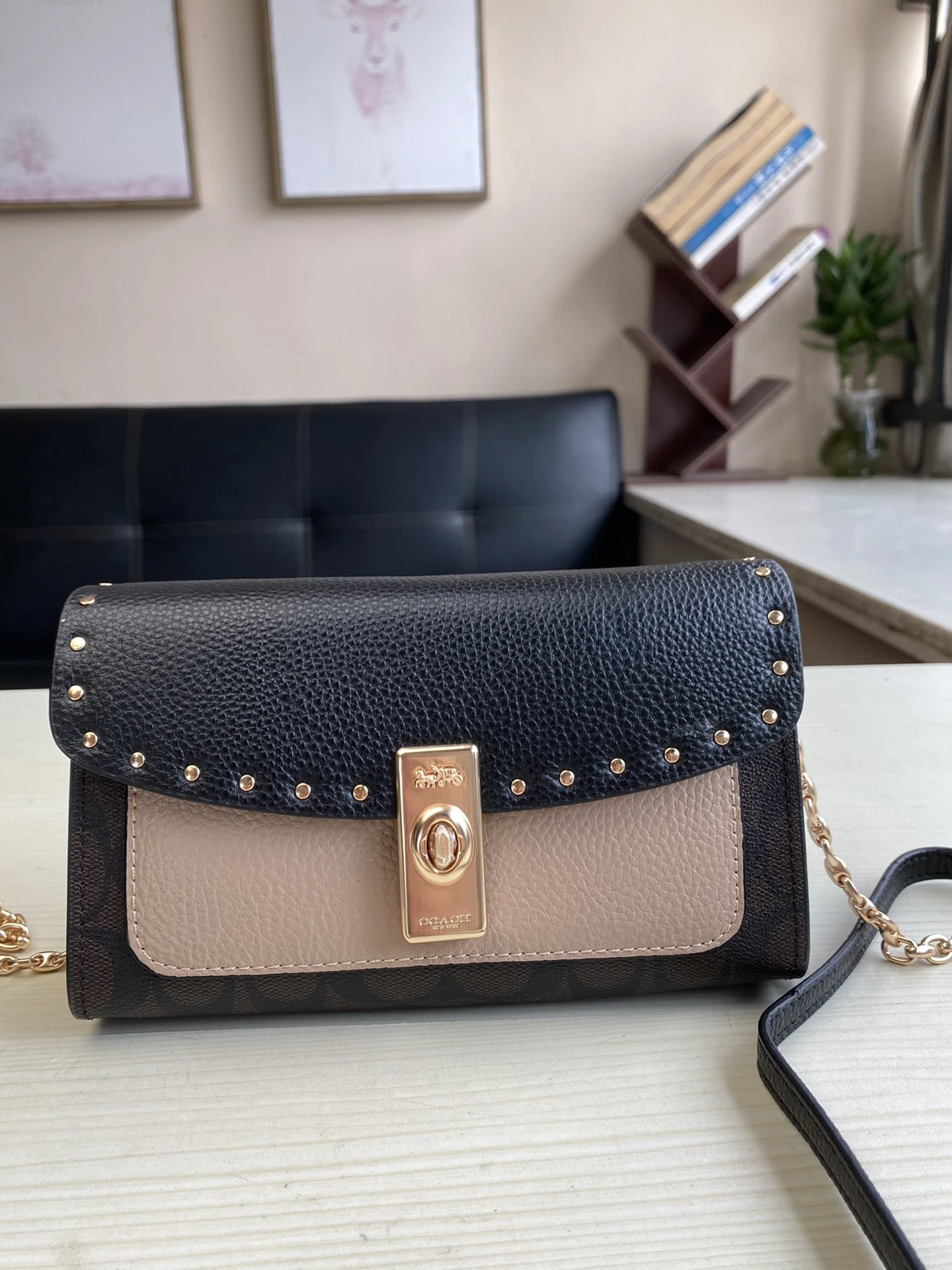 Coach Bag — 8acc0b0a