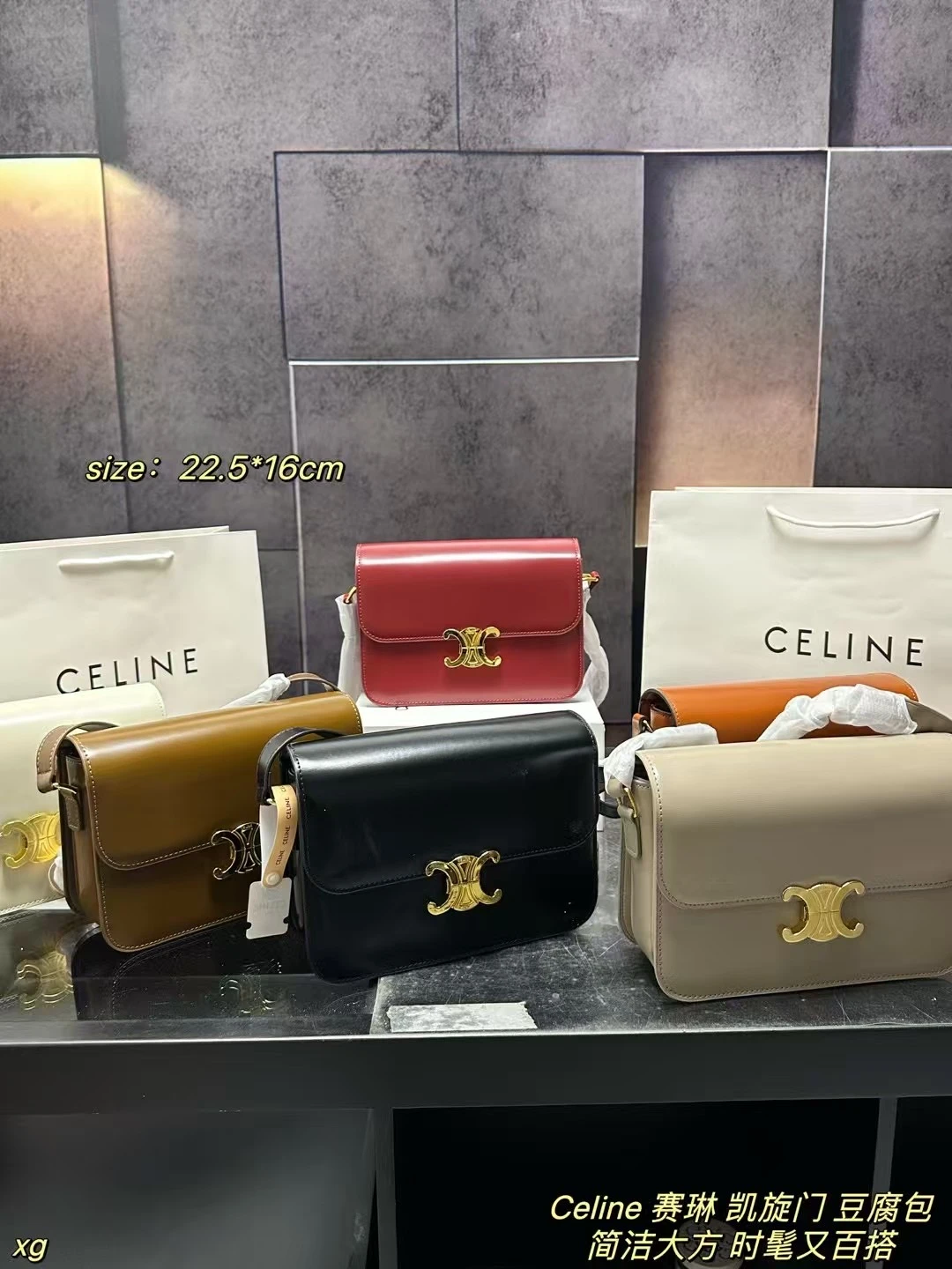 Celine Bag — 6f3a4004