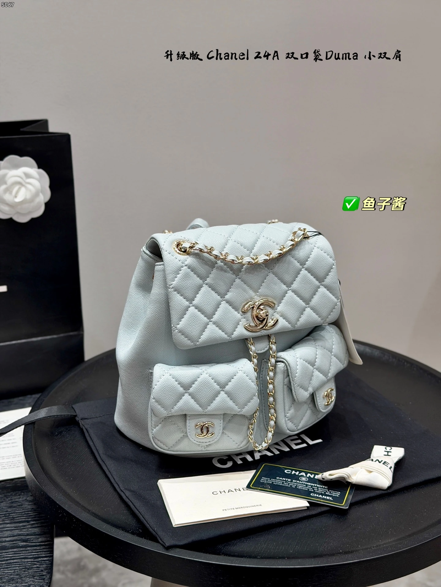 Chanel Bag — bf3b3847