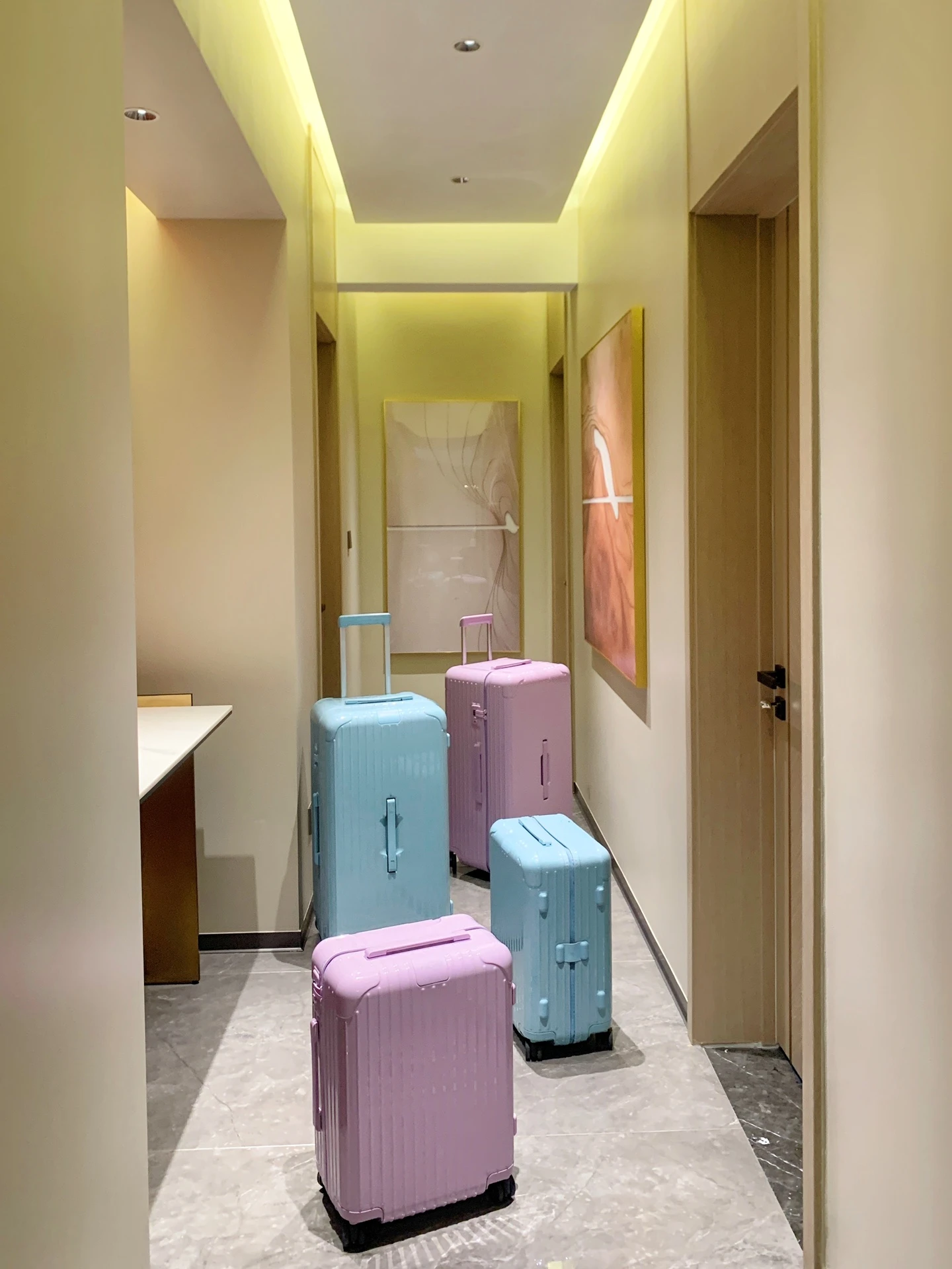 Luggage — 924ae03b