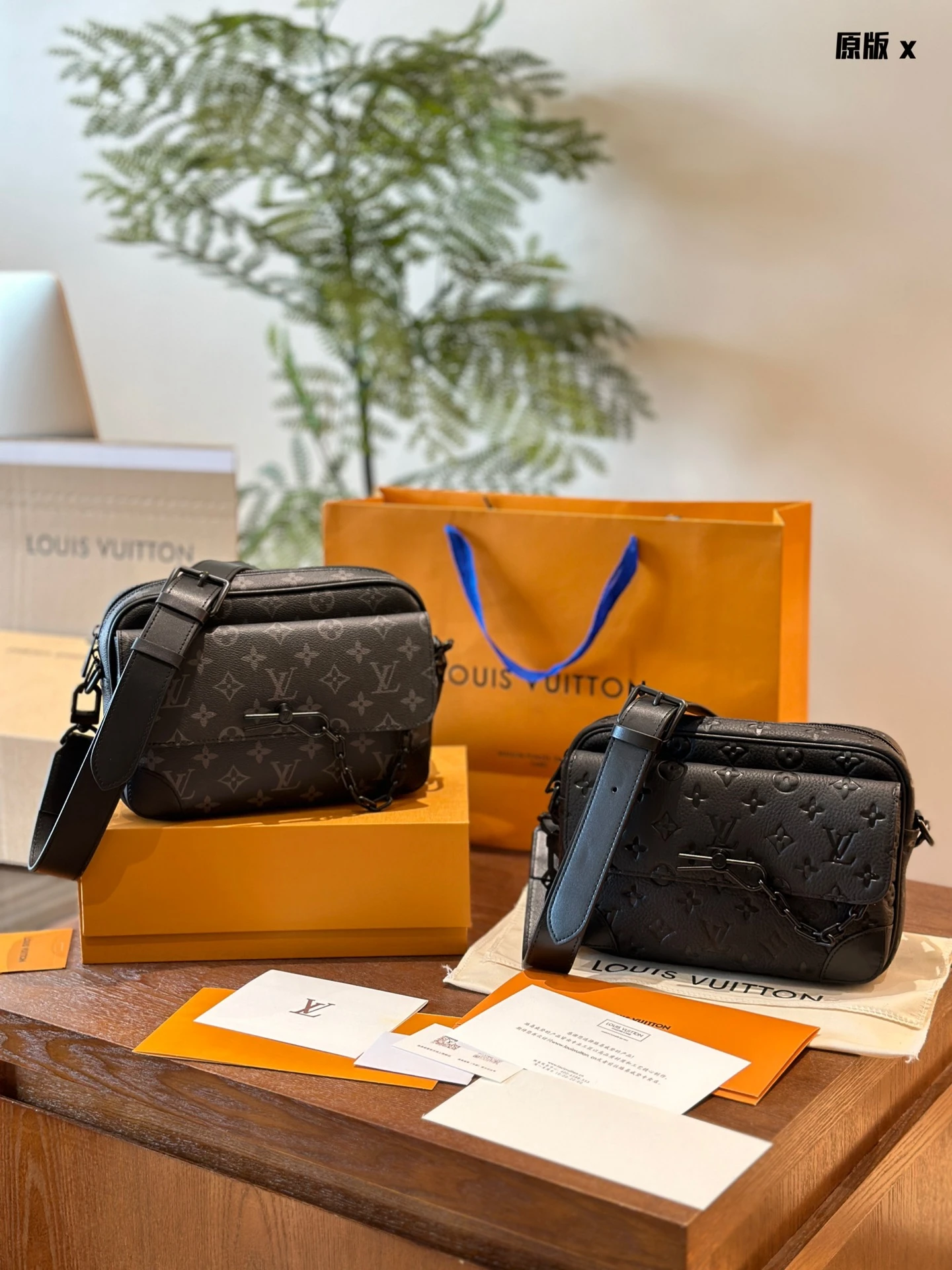 Louis Vuitton Bag — e79aabe1