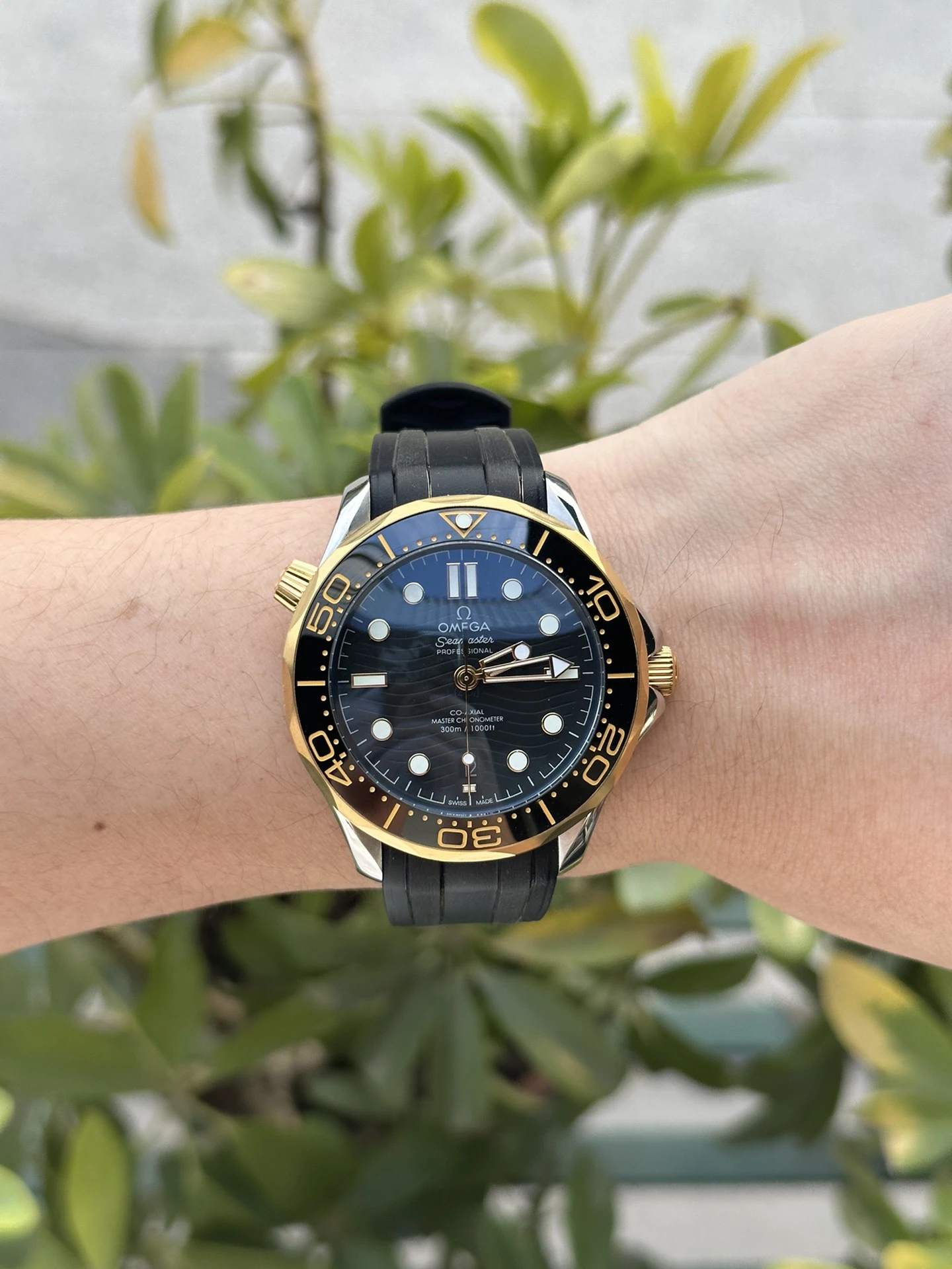 Omega Watch — e0f55791