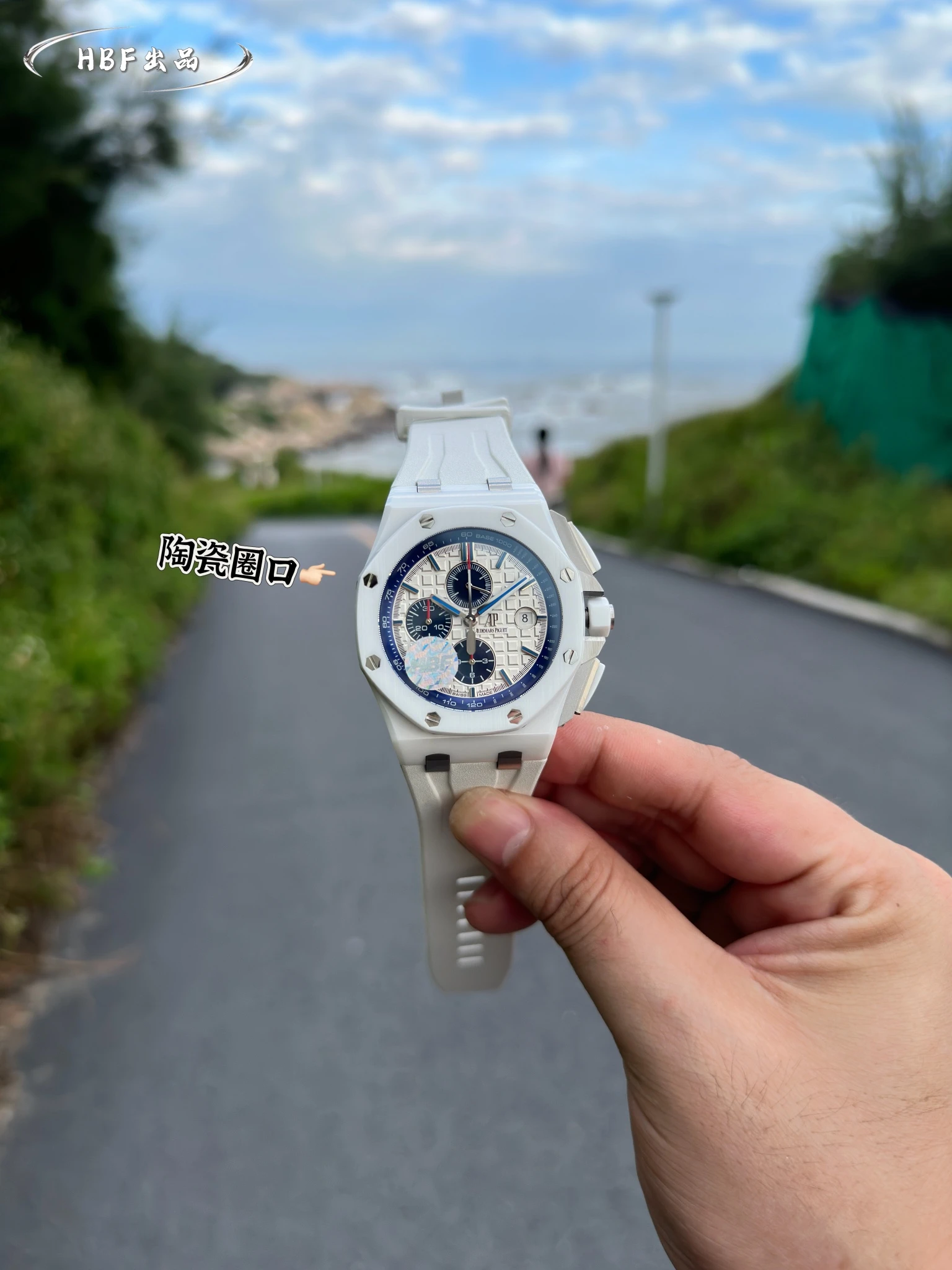 Audemars Piguet Watch — f34cec7e