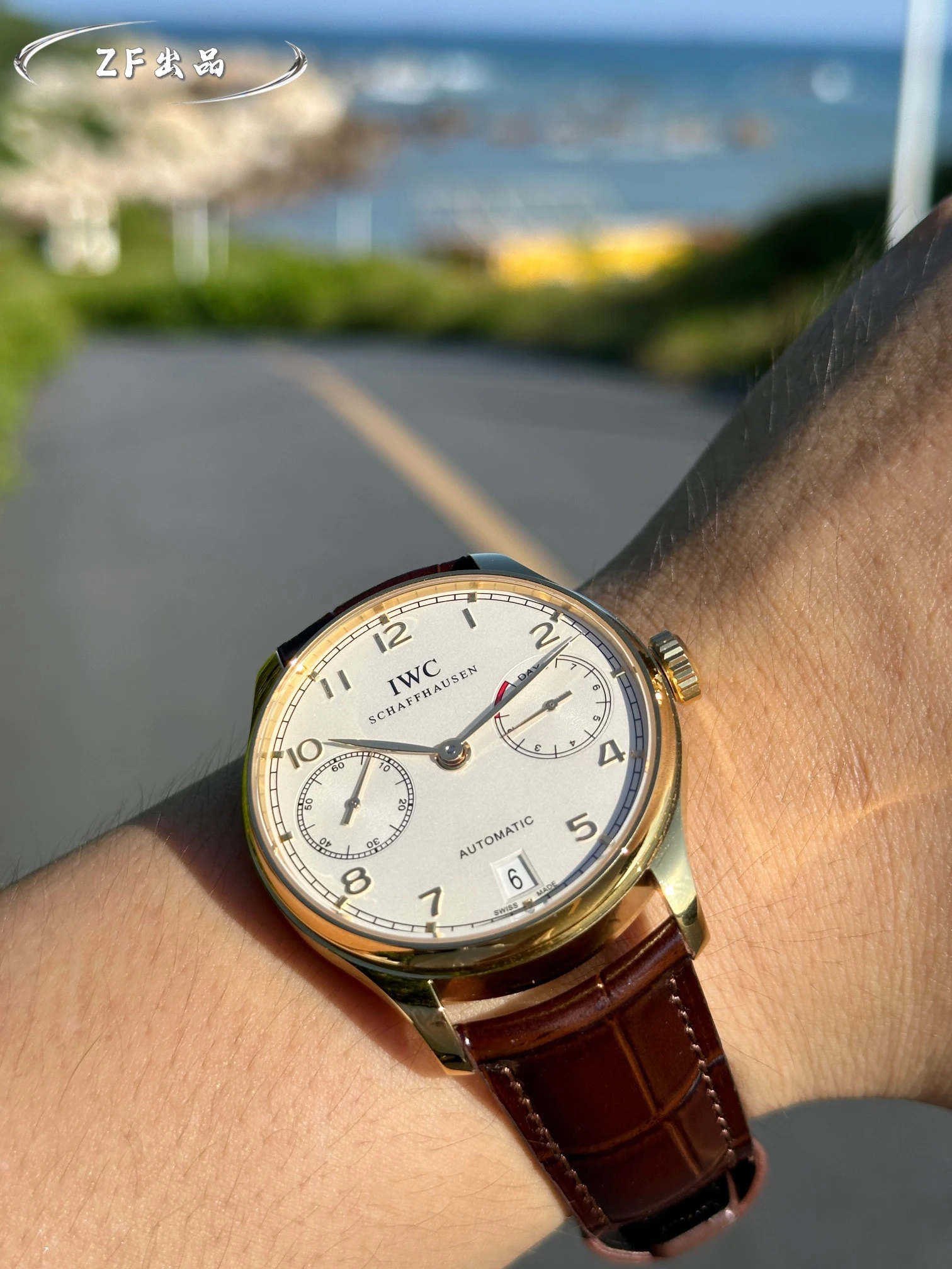 IWC Watch — 3c35d315
