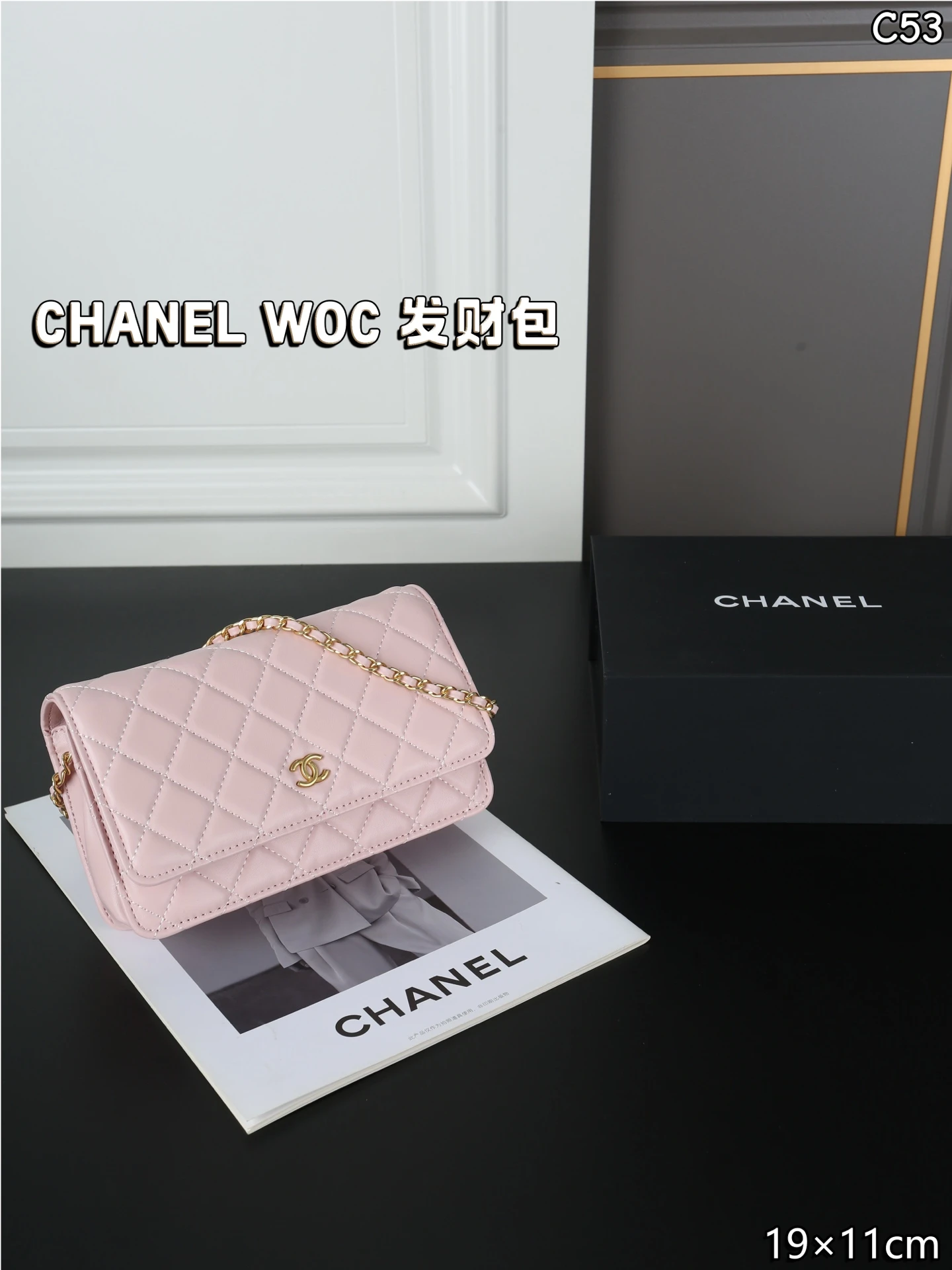 Chanel Bag — 0ce44c69