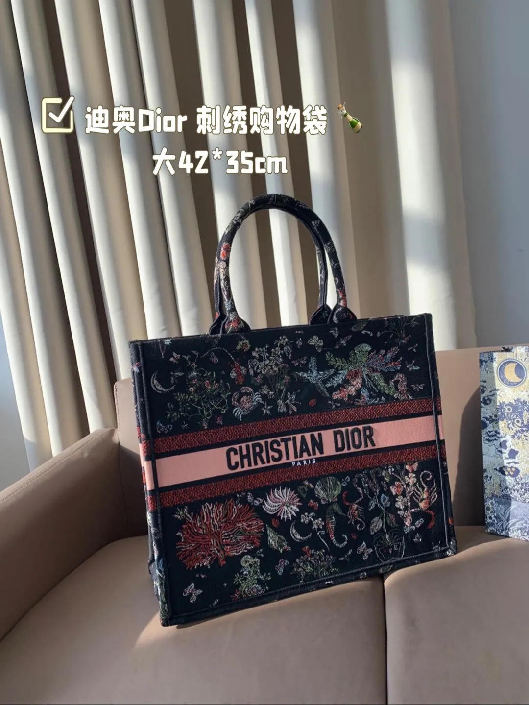 Dior Bag — 49a0f5ac