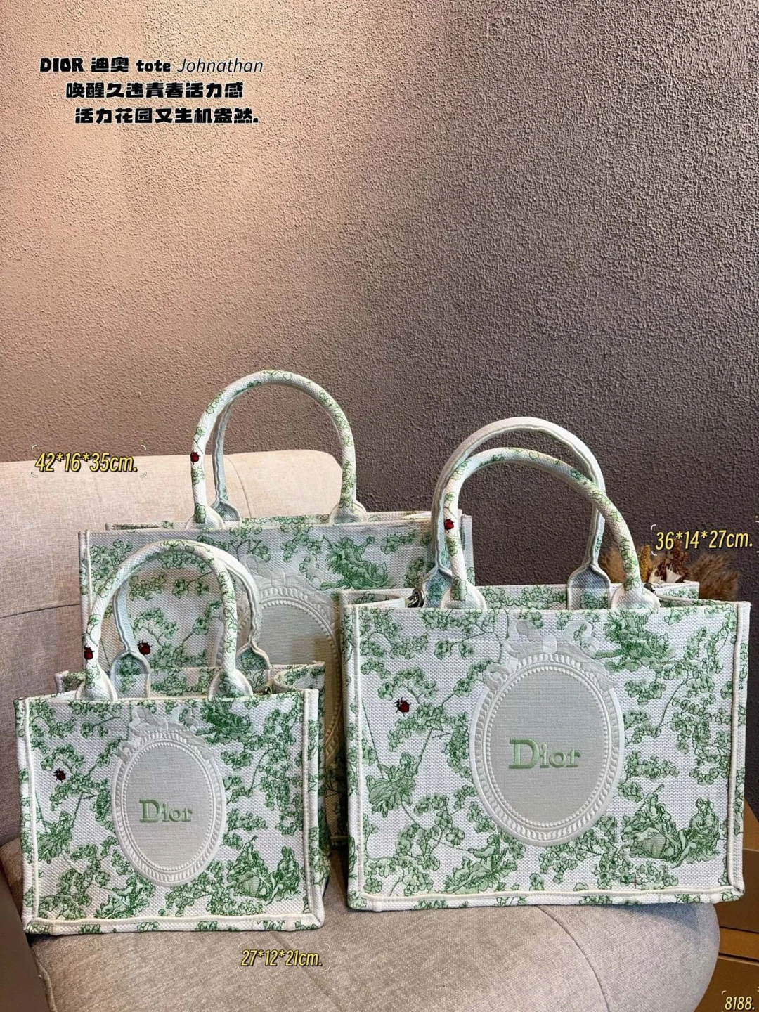 Dior Bag — 62dfbd36