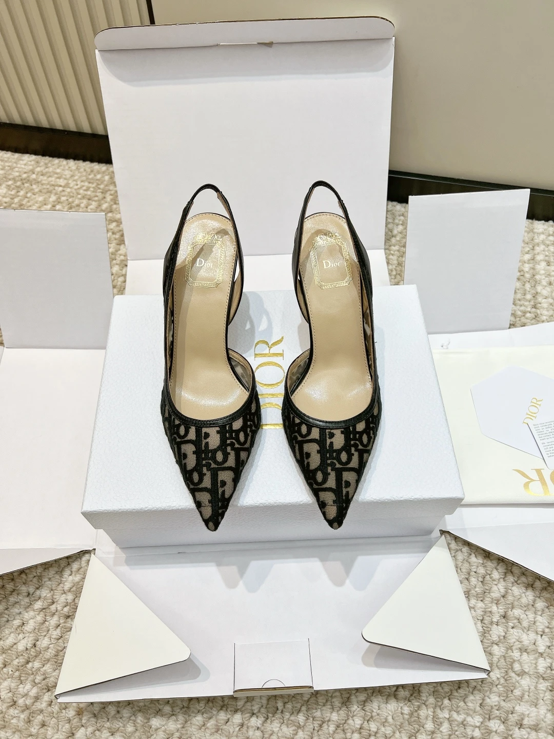 Dior Shoes — b2589244