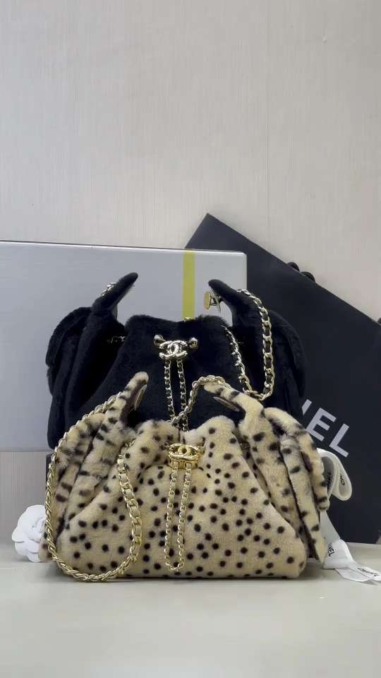 Chanel Bag — e125e9d0