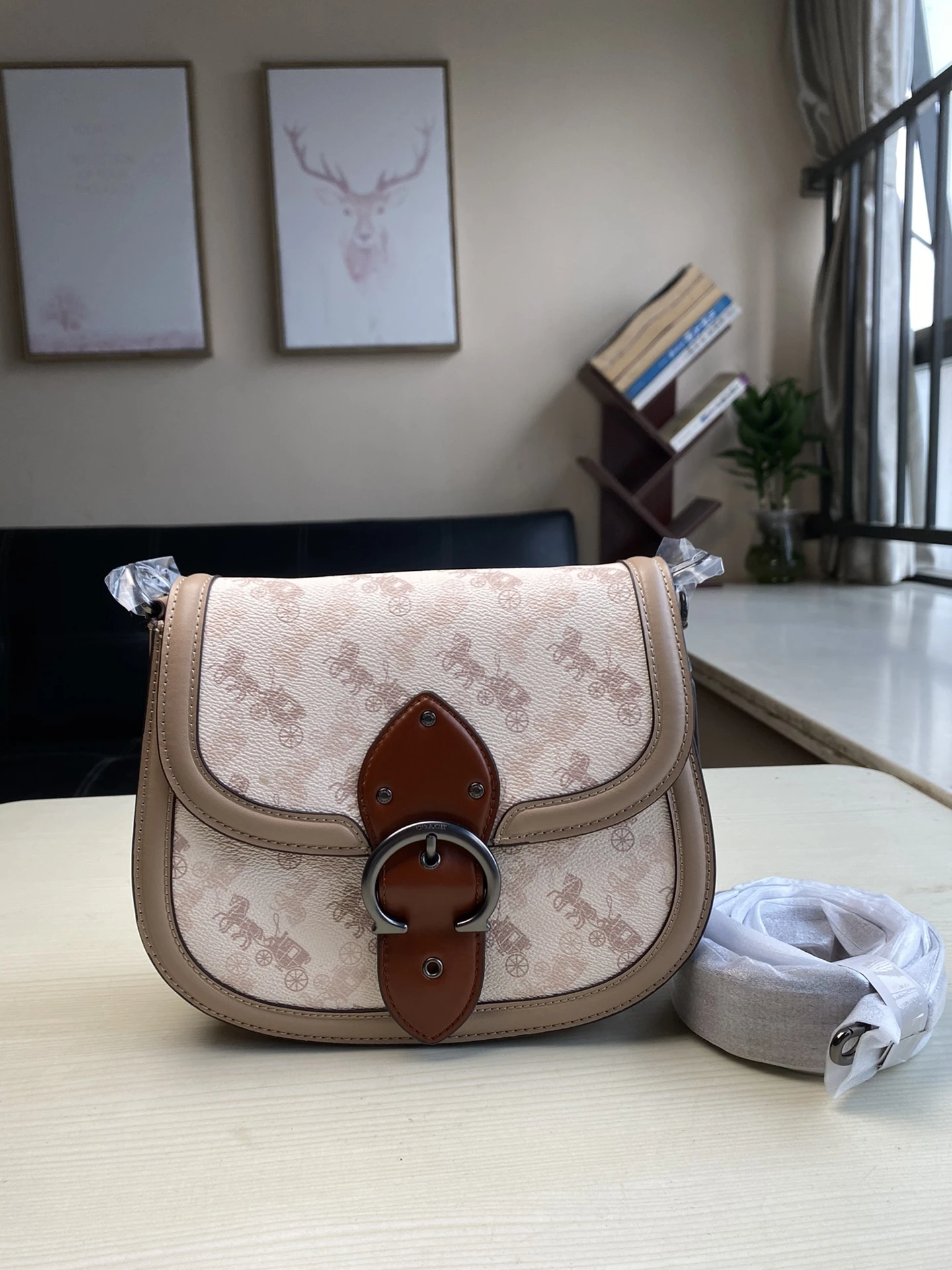 Coach Bag — 5c699082