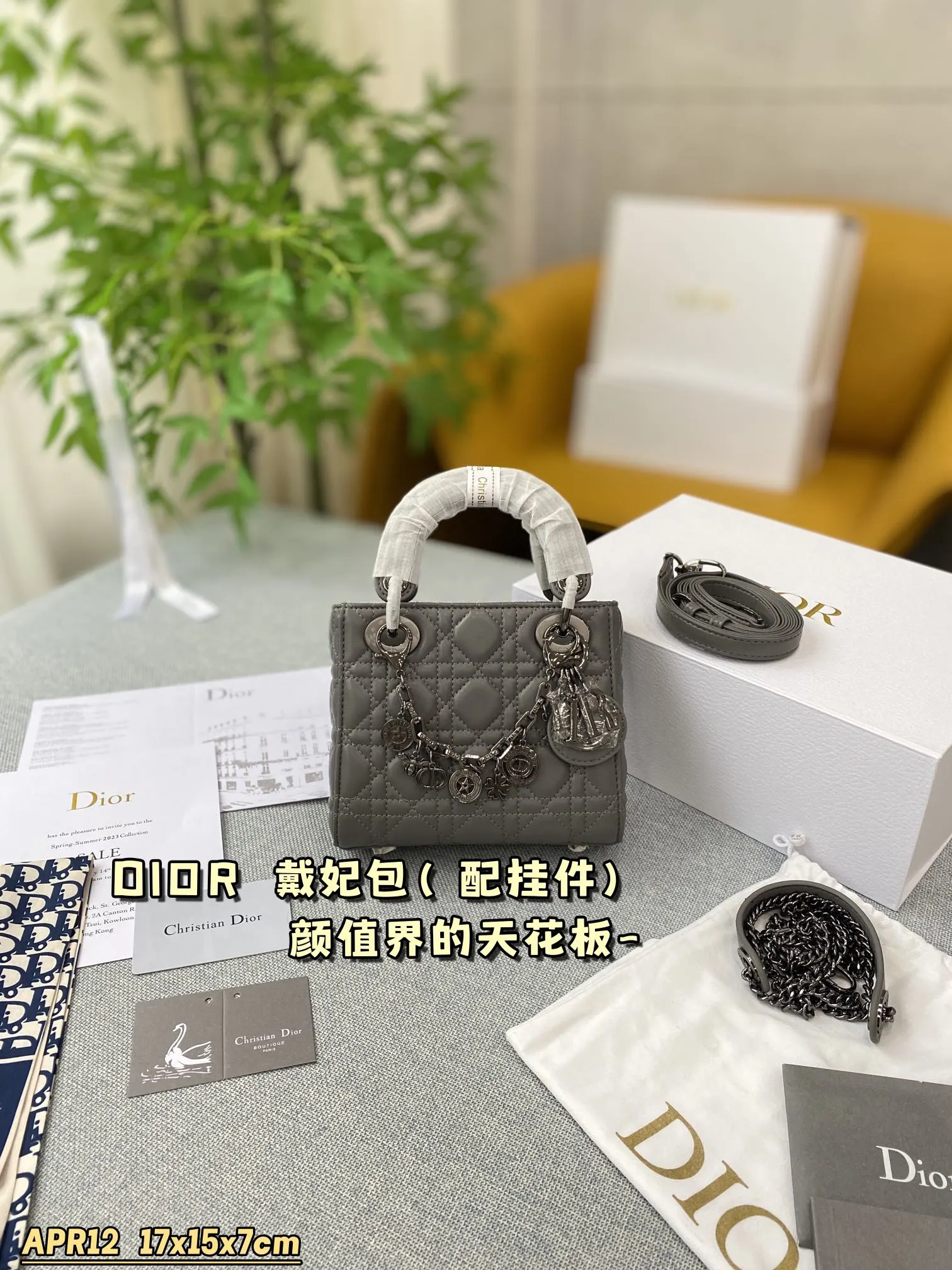 Dior Bag — 817a3dca