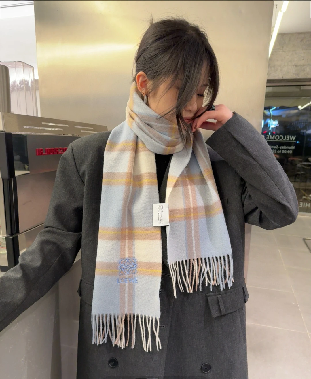 Loewe Scarves — b682338a