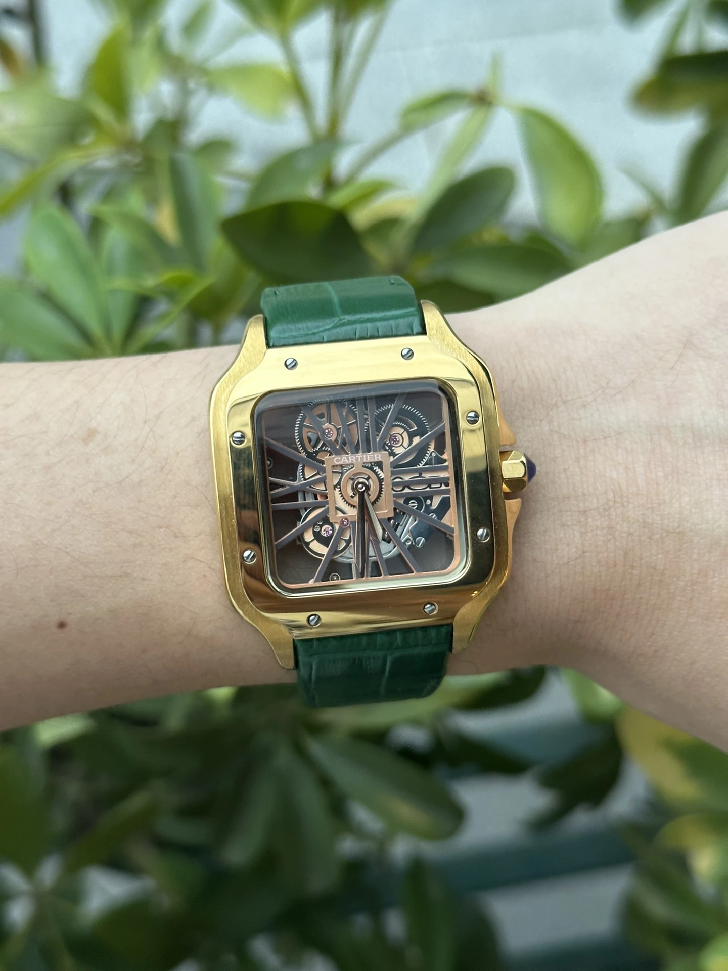 Cartier Watch — dd92362e