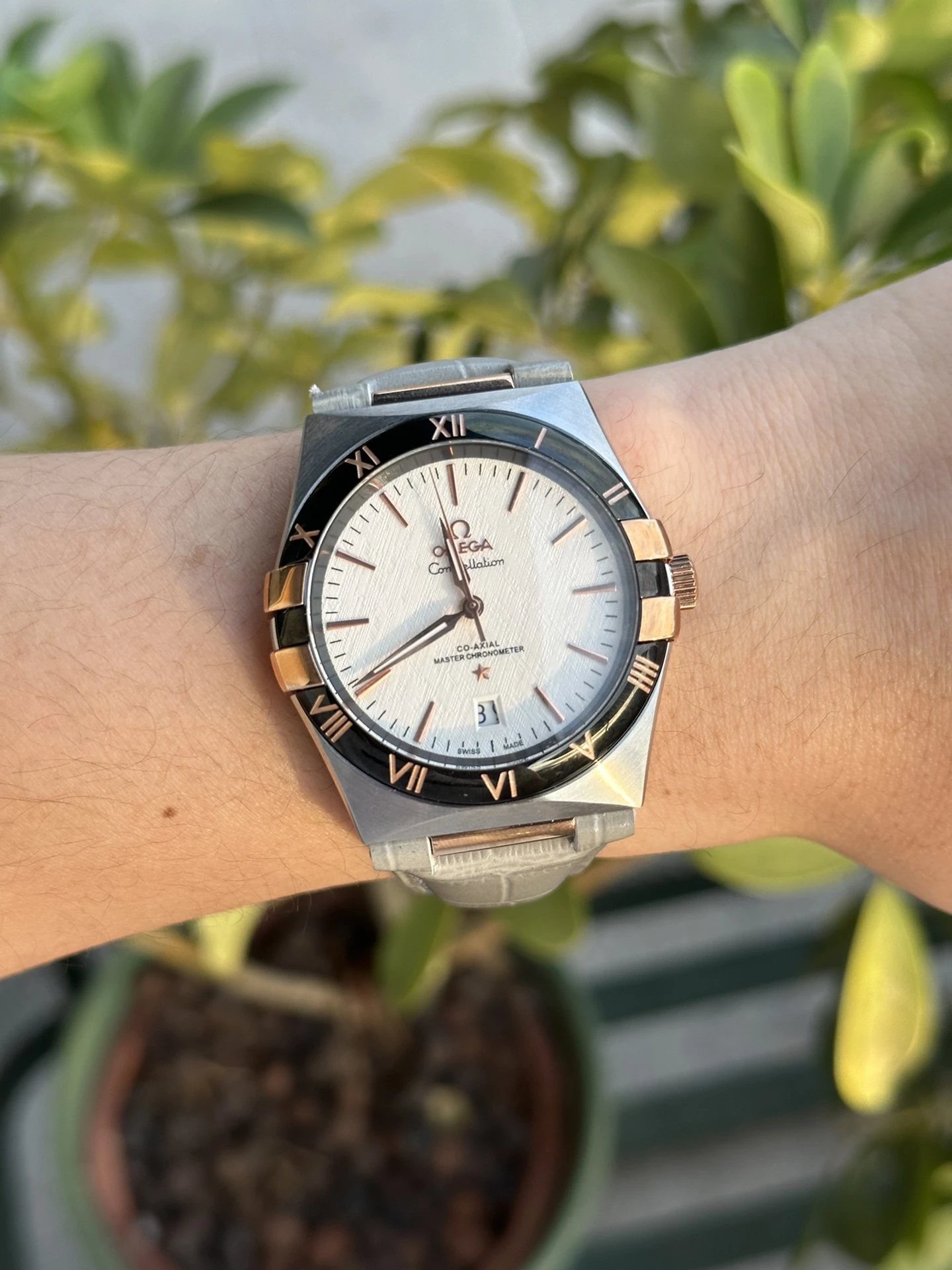 Omega Watch — 52896051