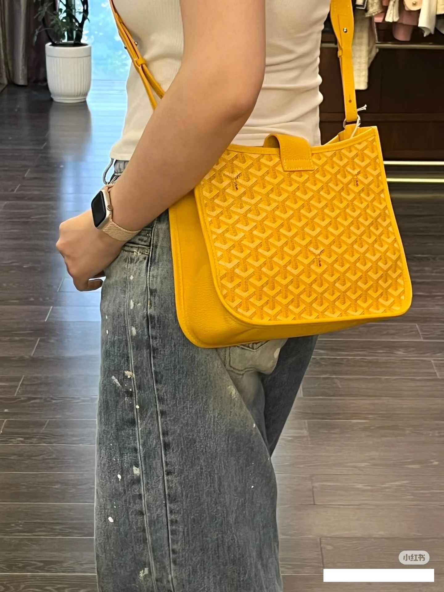 Goyard Bag — 56b23085