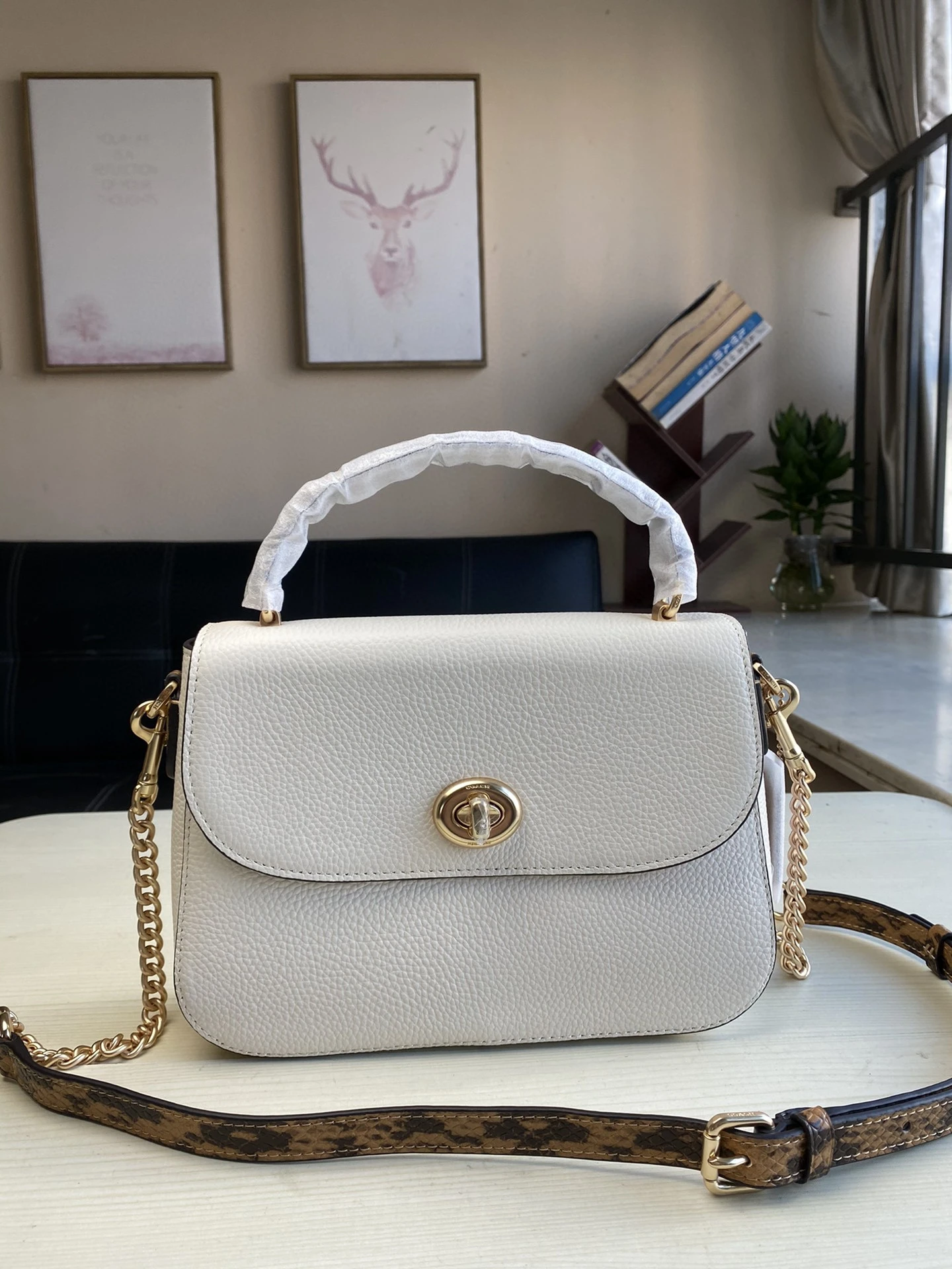 Coach Bag — dd6f557e