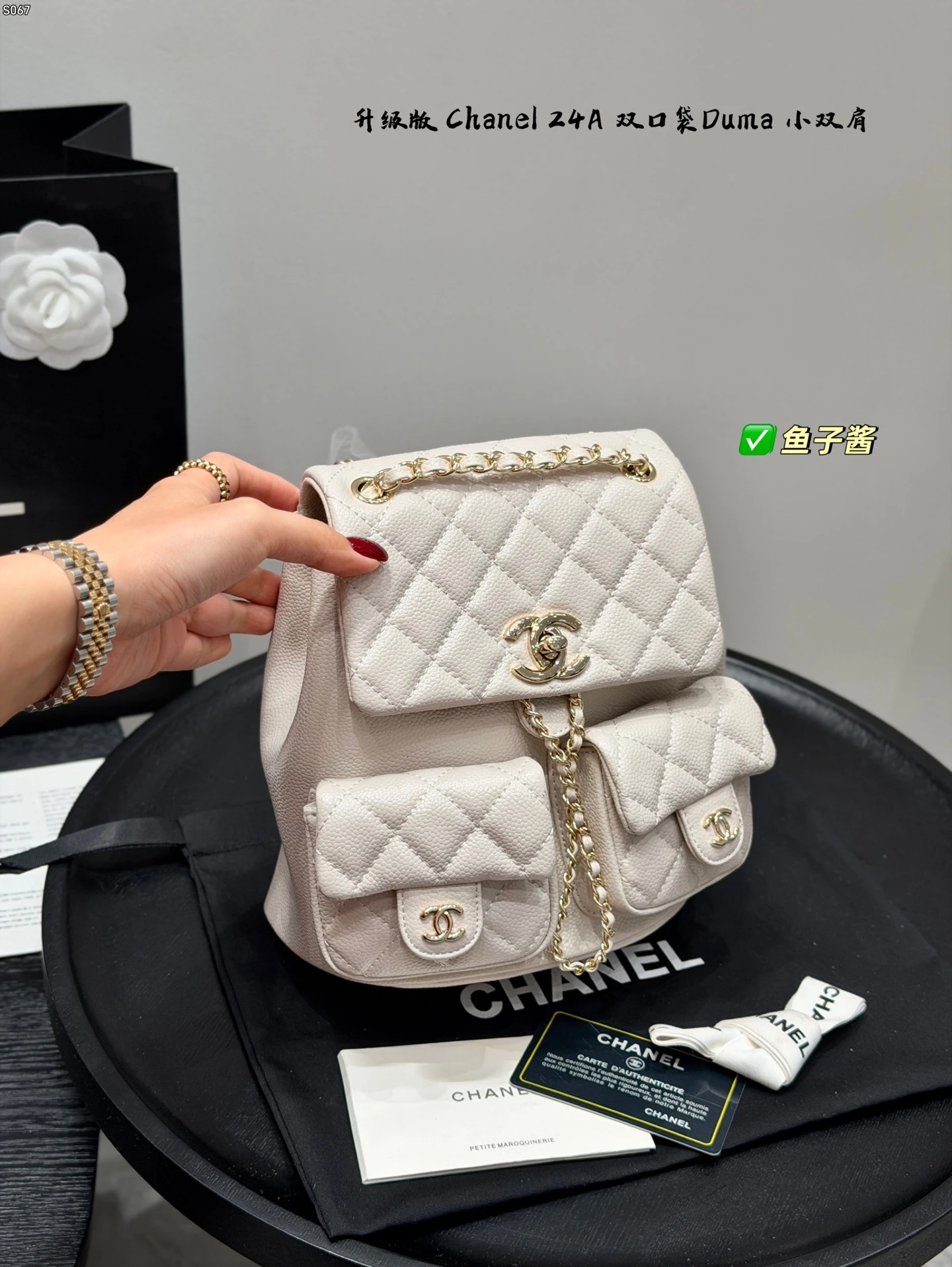 Chanel Bag — e9b9a904