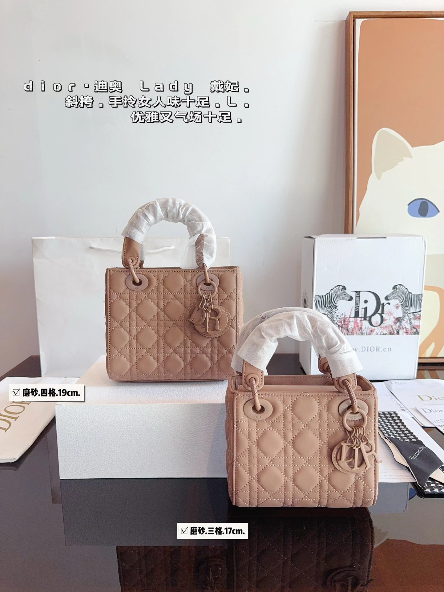 Dior Bag — 667db85d
