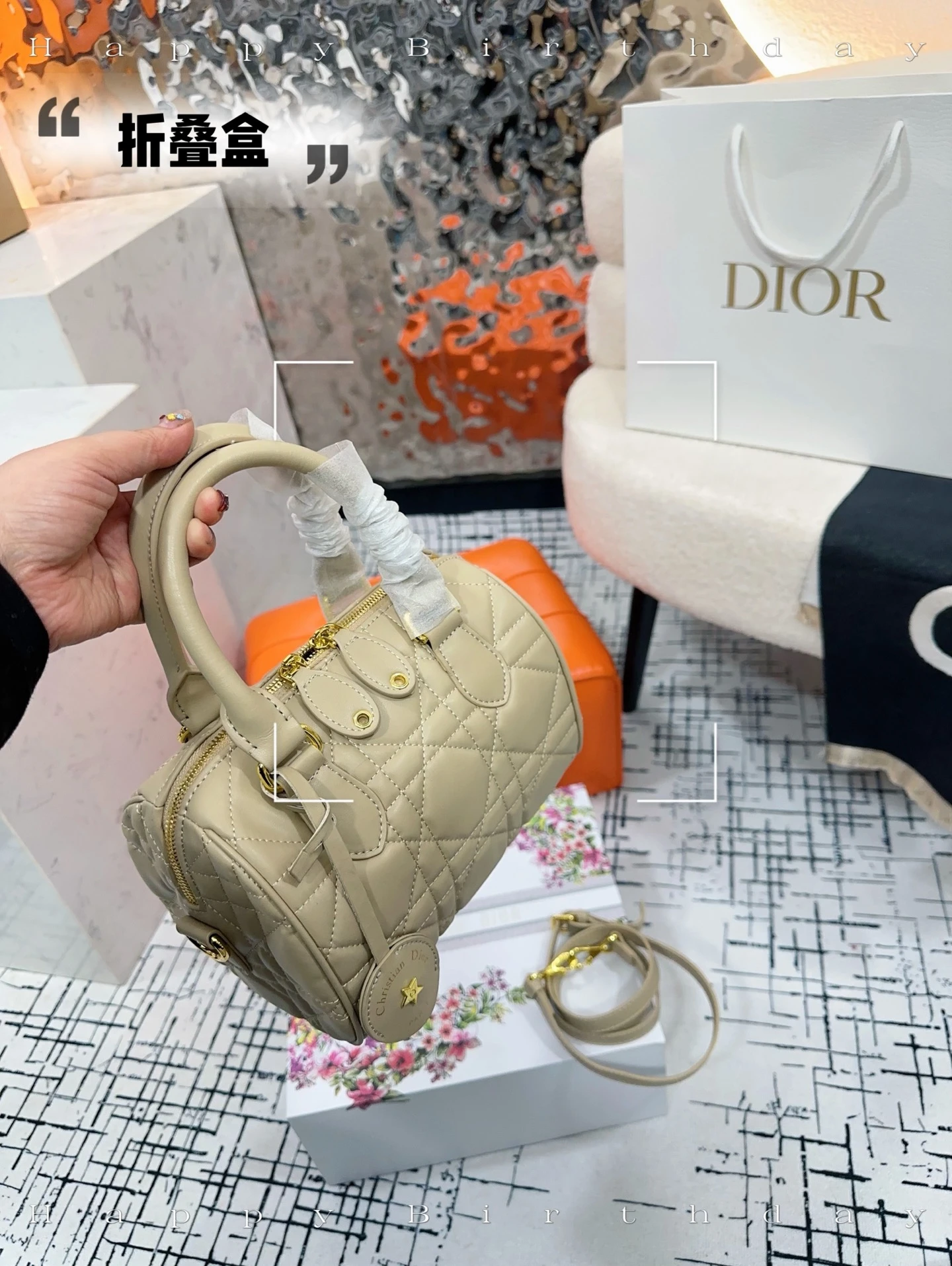 Dior Bag — b71f1532