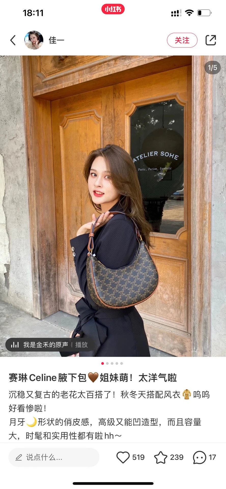 Celine Bag — 40944dcc
