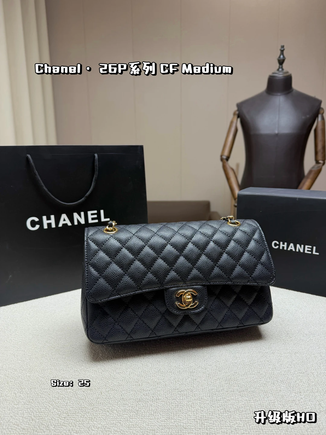 Chanel Bag — bac00555