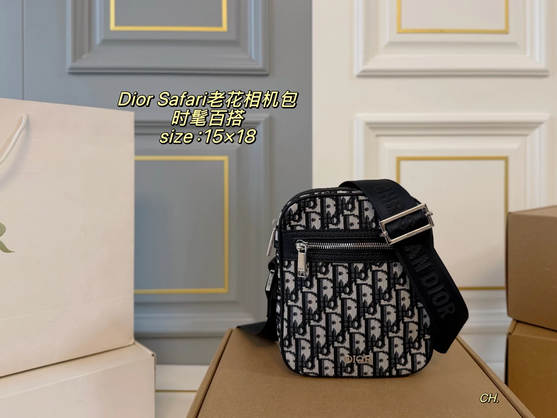 Dior Bag — 727dc278