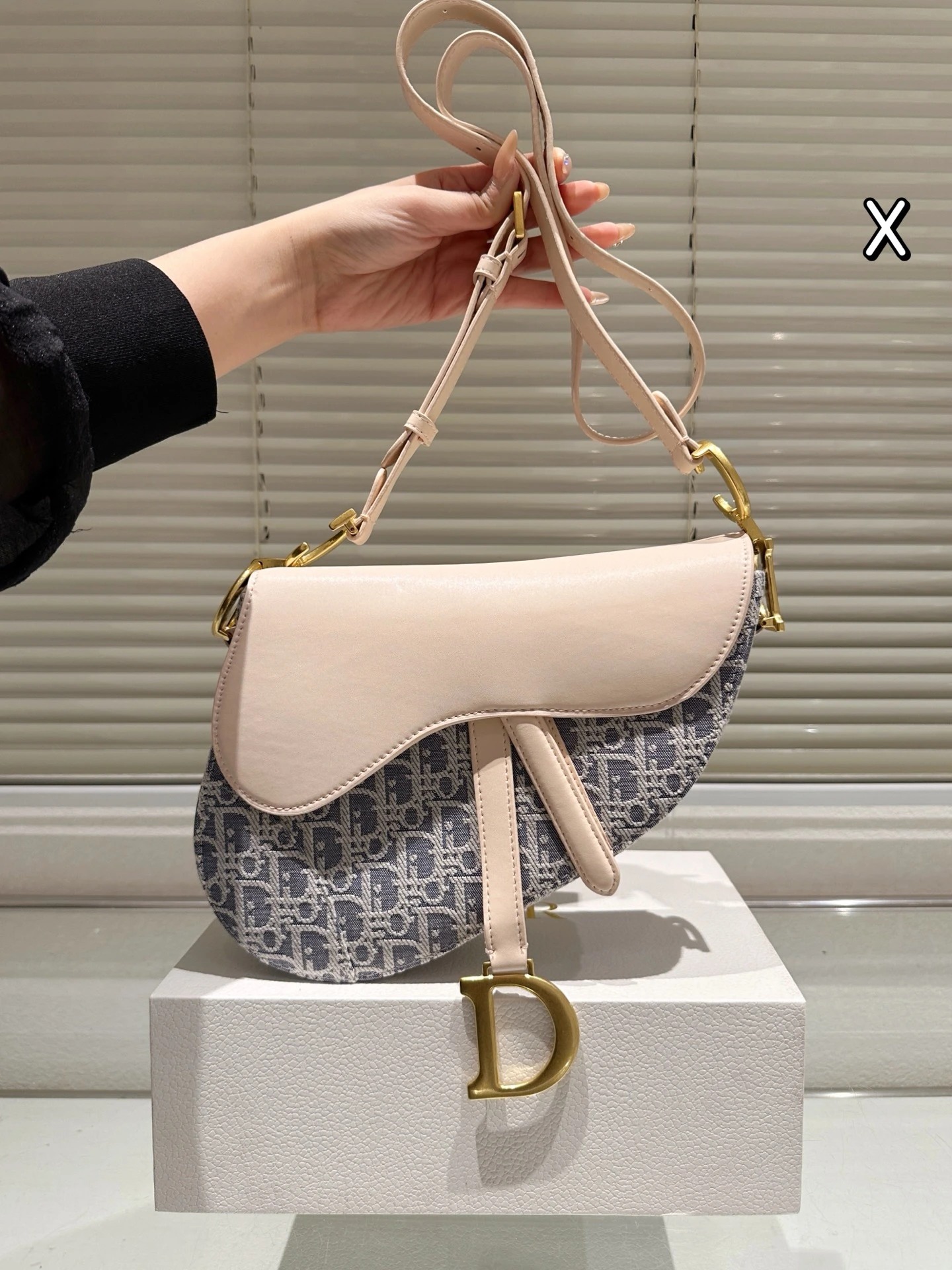 Dior Bag — 66317e46