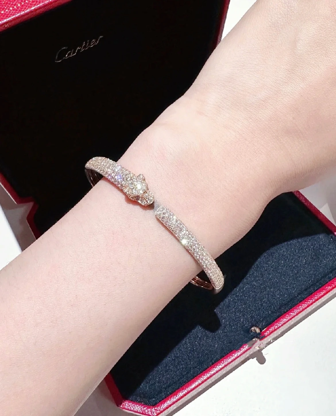 Cartier Jewellery — ca119dd8