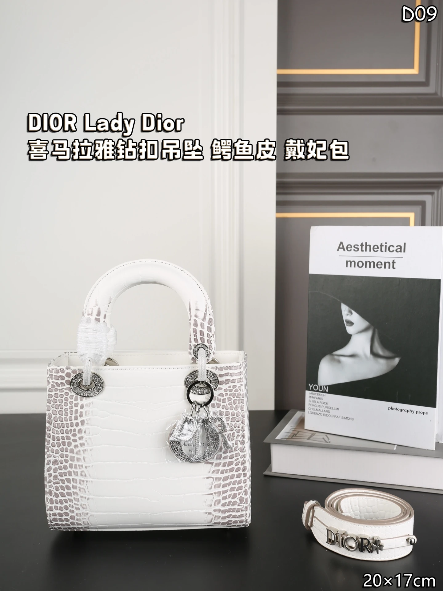 Dior Bag — 532db2bc